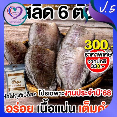 ปก สลิด 6 ตัว